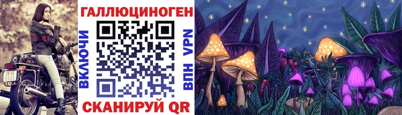 где купить наркоту  Шлиссельбург  Галлюциногенные грибы MAGIC MUSHROOMS 